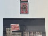 une vieille photo montrant une collection de timbres exposée dans une vitrine