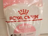 un gros plan sur un sac de nourriture pour chat posé sur un plan de travail