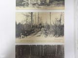 four pictures of horses crossing a bridge in the woods