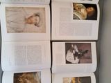 Photo 5/10 du lot