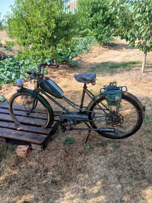 un vélo posé sur un banc en bois