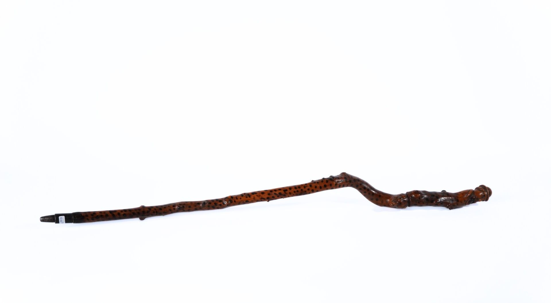Objets d'art & Curiosités