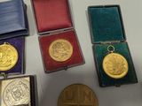 five gold medals and a silver medal in a case