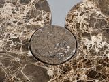 a close up of a piece of marble with a coin in the middle of it