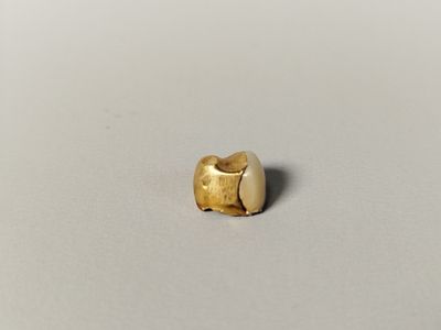 une petite figurine d'éléphant en or posée sur une surface blanche