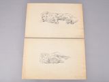 deux dessins d'animaux sur une feuille de papier, dont l'un est couché