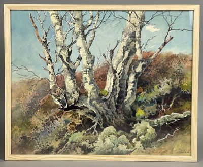 Josef SÜSSMEIER (1897-1971) Étude d'arbre