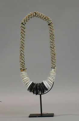an image of a necklace made out of shells on a stand