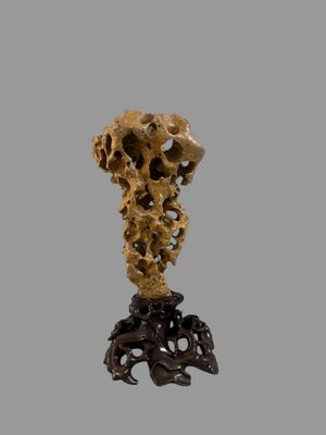 a close up of a sculpture of a skull on a stand