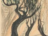 l'image d'un dessin représentant deux arbres dans un champ