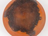 orange and black plate with black spots on it on a white surface