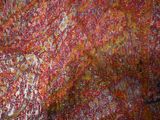 a painting of a red and yellow pattern on the wall
