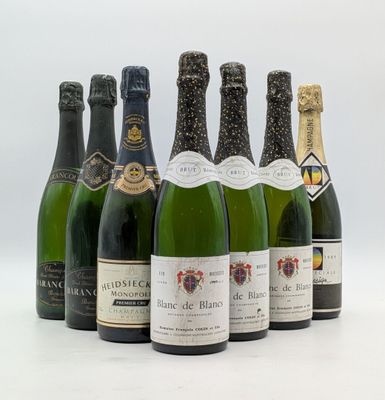 plusieurs bouteilles de vin sont alignées sur une surface blanche
