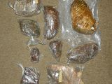 many different types of bread in plastic bags on the floor