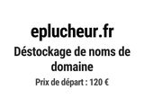 Photo 1/1 du lot