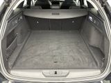 a trunk of a car with the back seats folded down