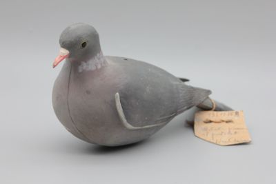 un oiseau perché sur une table, avec une étiquette accrochée à lui