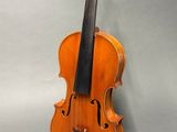 a close up of a violin on a white background