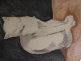painting of a white cat laying on a brown and black surface