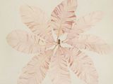 a drawing of a plant with leaves on it