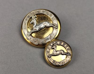 gros plan d'une pièce de monnaie sur laquelle figure un cheval