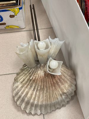 une coquille de palourde sur le sol d'un magasin