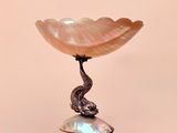 a close up of a shell with a snake on top of it