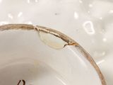 a close up of a white bowl with a spider on it