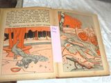 an open book with a picture of a lizard on it