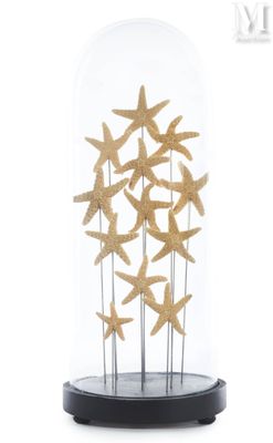 starfishs under a glass dome on a black base