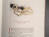 Photo 4/8 du lot