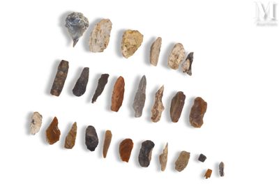 une image représentant un ensemble d'outils de différents types posés sur une surface blanche