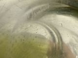 a close up of a glass of wine with a fish in it
