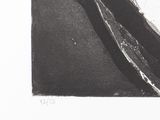 a black and white photo of a piece of wood