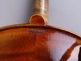 a close up view of a violin neck with the back of the neck