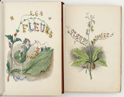 an open book with illustrations of plants and insects on it