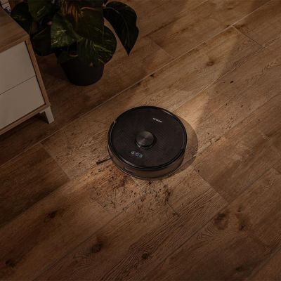 Le « roombake » est posé par terre, à côté d'une plante en pot