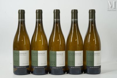six bouteilles de vin sont alignées sur une surface blanche