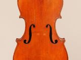 an old violin on a white background