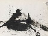 un dessin en noir et blanc représentant un oiseau posé au sol