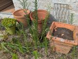 de nombreux pots posés dans l'herbe près d'un bâtiment