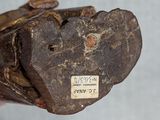 a close up of a person ' s hand holding a baseball glove