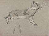 drawing of a cat with a peace sign on it ' s back