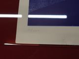 a picture of a blue and white picture on a red wall
