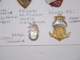 a lot of badges that are on a piece of paper