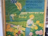 affiche représentant une femme s'occupant de fleurs dans un jardin, devant un micro-ondes