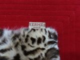 a close up of a stuffed animal laying on a red blanket