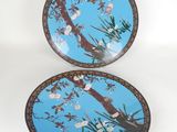 two plates with flowers and birds painted on them on a white surface