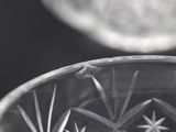 a close up of a clear glass bowl with a lizard on it