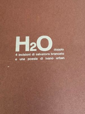 livre marron sur lequel est écrit en blanc « H₂O »